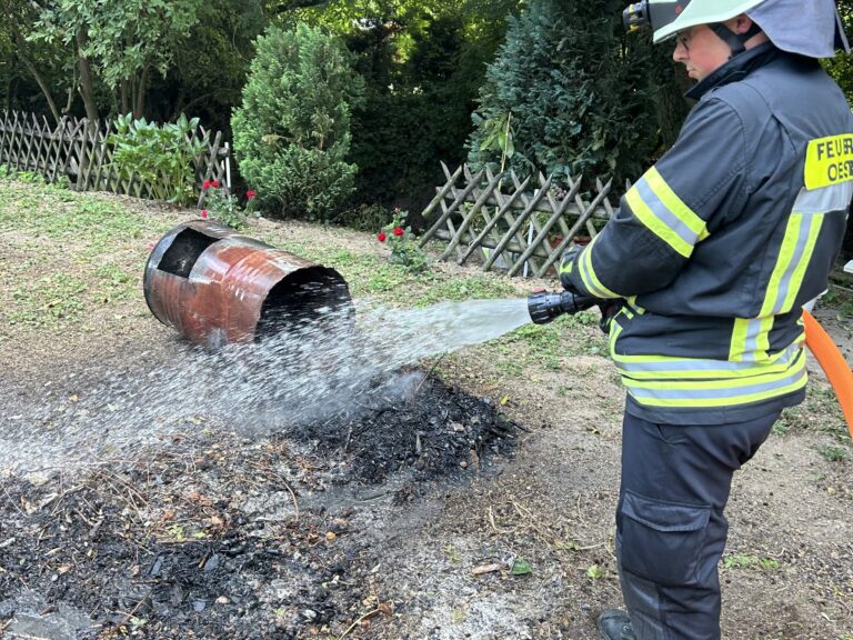 37/2025 Wald-/Flächenbrand